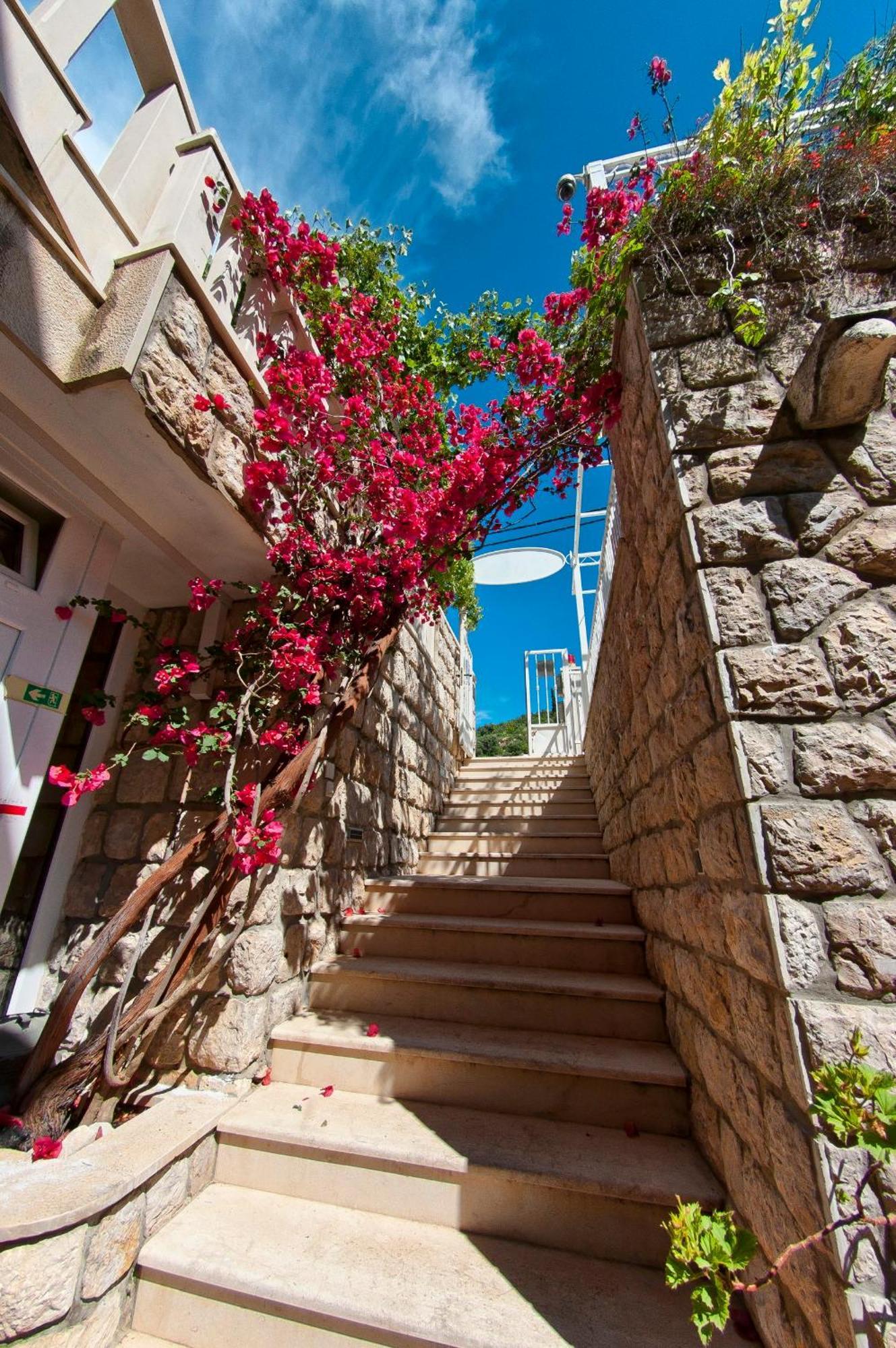 Villa Ana 2 Zaton  Luaran gambar